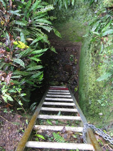 Entrance to mine, Hardings Park