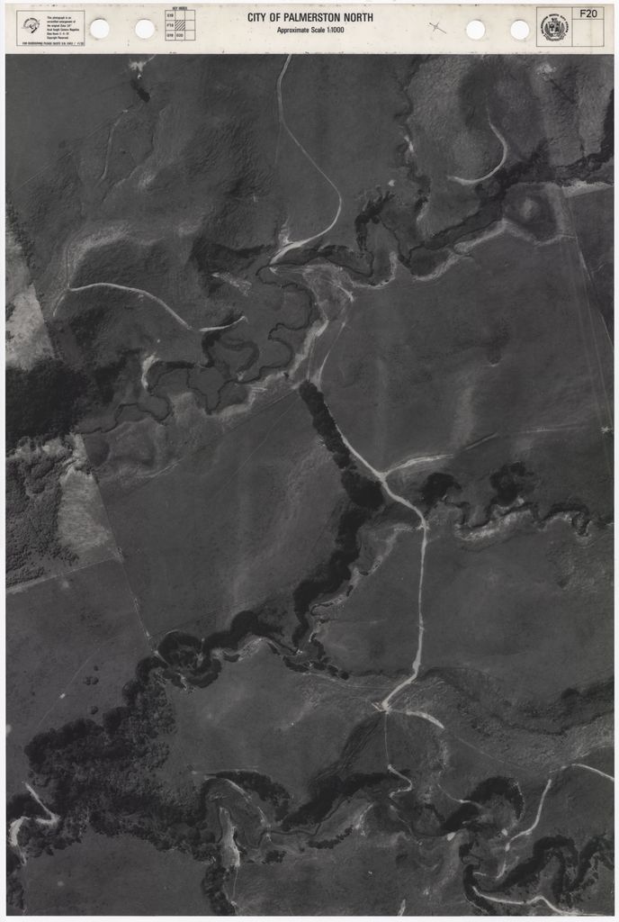 1981 Aerial Map - F20