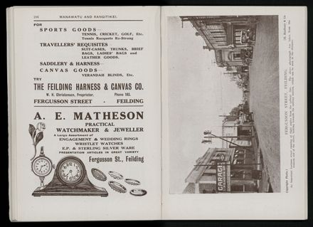 Bradbury's Illustrated Series No. XI. Manawatu and Rangitikei Districts 101