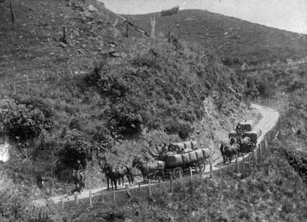 Wool being carted on Lower Scotts Road