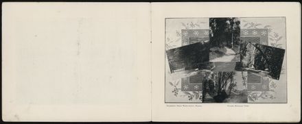 Bennett & Co's Souvenir Views of Palmerston North 4