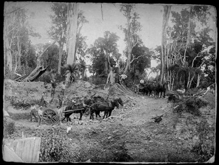 Bush Felling in the Pohangina Valley