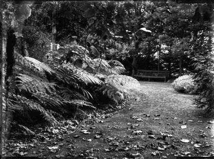 Pathway in Victoria Esplanade