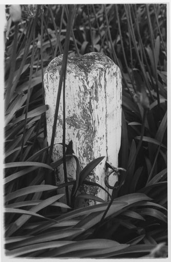 Hitching Post in The Square