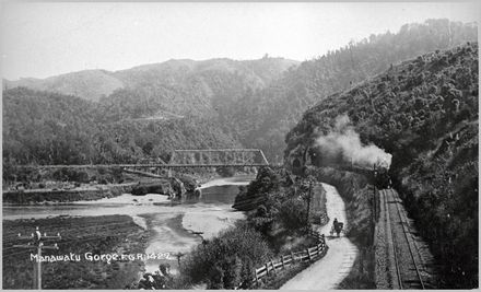 Road leading to the Manawatu Gorge from Woodville