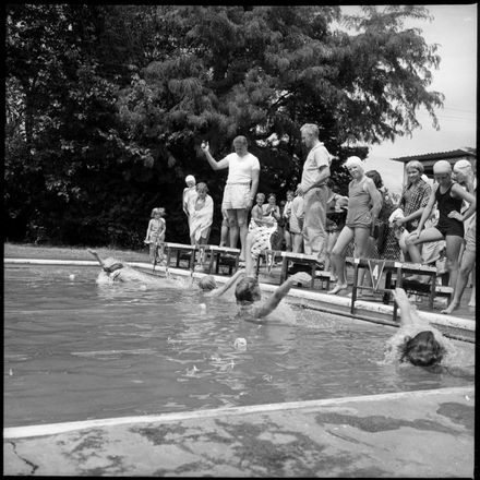"Competitive Swimming At Hokowhitu"