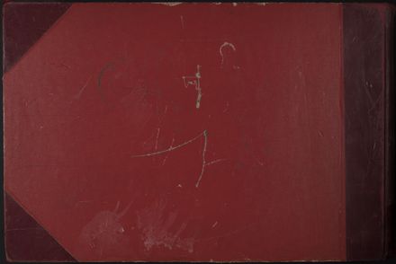 PN Amateur Swimming Club archive book