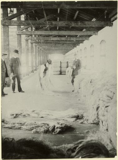 Grading bales of flax