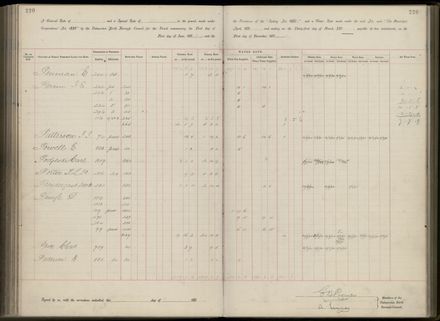 Palmerston North Rate Book, 1893 - 1896, 225