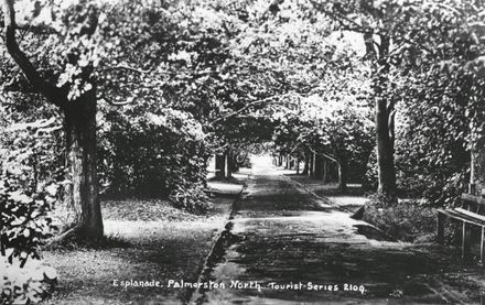 Tree-lined Walkway, Victoria Esplanade