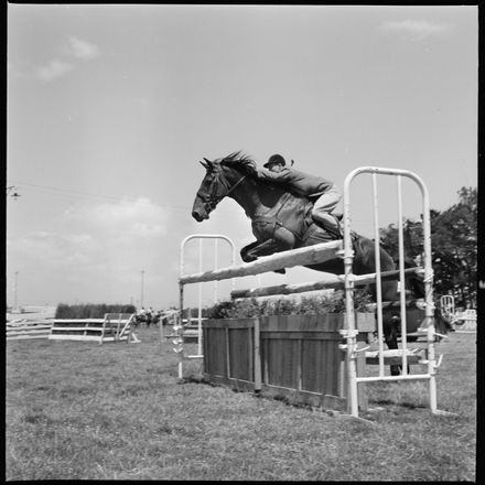 2018N_2017-20_MS000948b - Skilful Showjumping