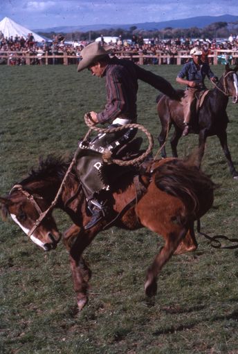 Linton Rodeo