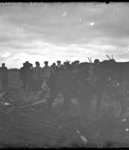 Ploughing Team with Crowd of People in Background