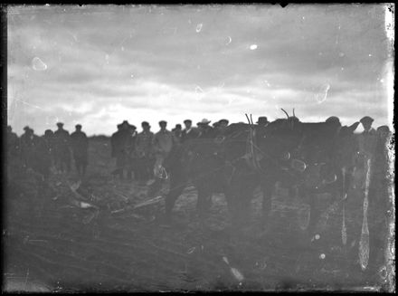 Ploughing Team with Crowd of People in Background