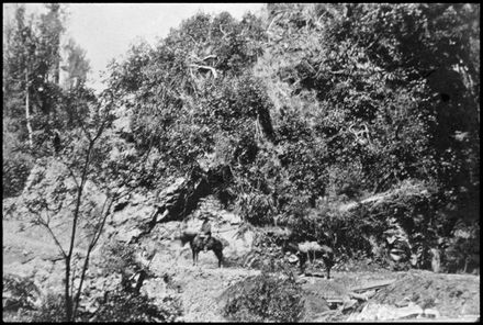 Access to Kahuterawa Valley