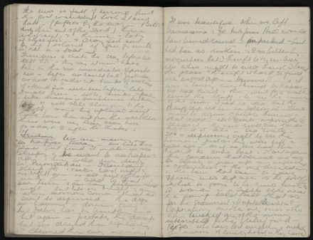 Ann Jacques Diary - 101