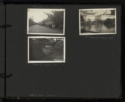 Creighton Family Album 14
