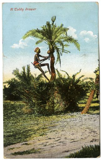 "The Toddy Drawer" - postcard from Joe Marshall