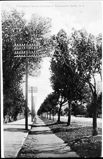 Postcard of the “FItzherbert Street Boulevard”