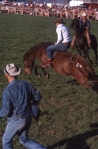 Linton Rodeo