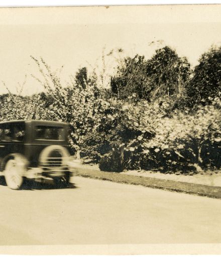 Andrews Collection: Moving Automobile