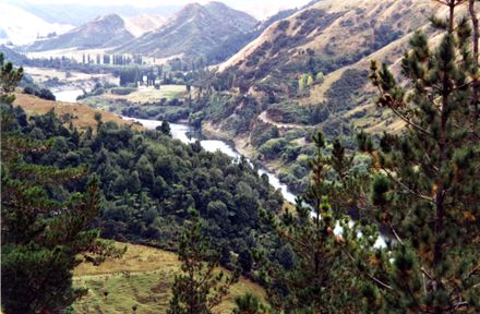 View from McIytre Farm, Operiki