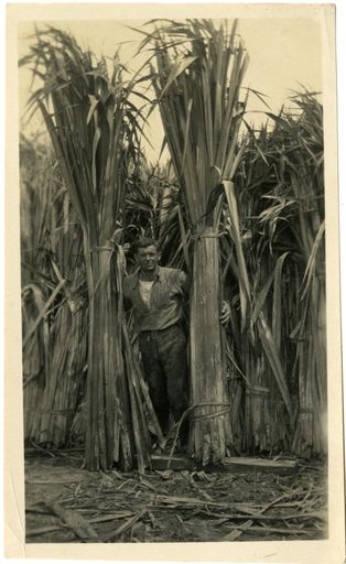 Neil Seifert, Paiaka Mill