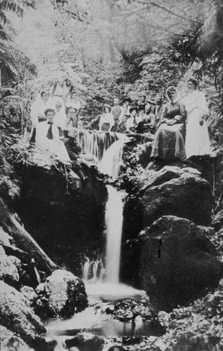 Picnic in Manawatū Gorge
