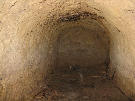 Mine entrance, Hardings Park