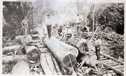 Timber Milling Gang