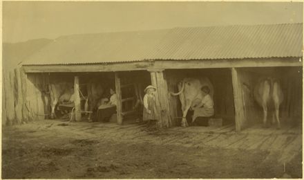 Doris and old cow shed