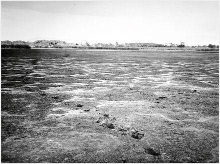 Lake Puki Puki, Himatangi
