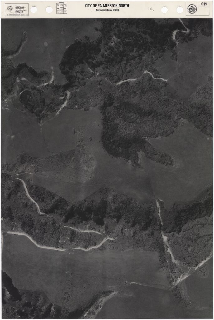 1981 Aerial Map - G19