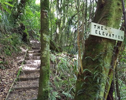 Sledge Track, The Elevation
