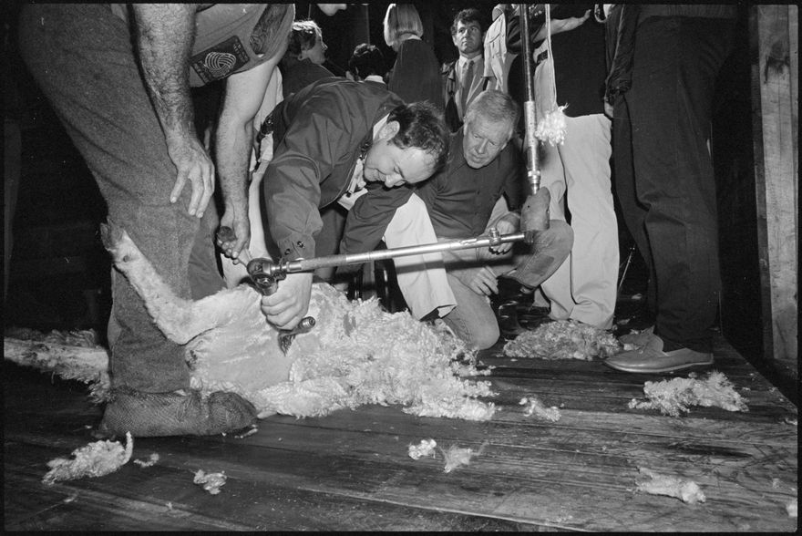 2025N_2027-20_Carter_042976_022