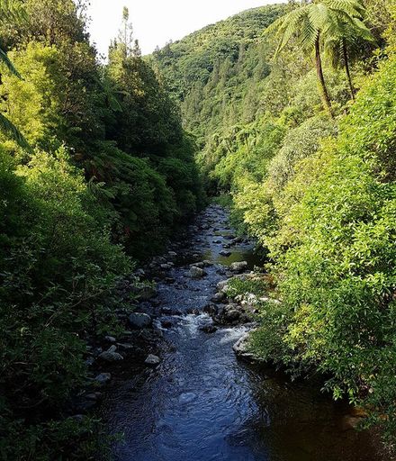 Kahuterawa Stream, Arapuke Swing Bridge