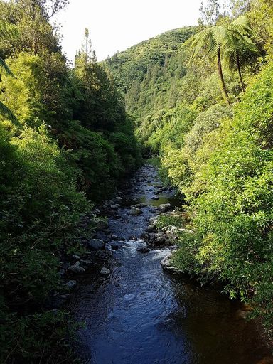 Kahuterawa Stream, Arapuke Swing Bridge