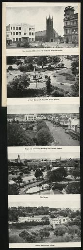 Greetings from Palmerston North Postcard Set 2