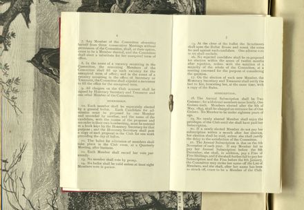 Louisa Snelson's Scrapbook - Page 103