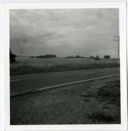Dixon's Line, Bunnythorpe
