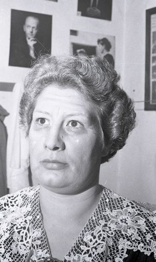 "Repertory Plays" - Resource cover image