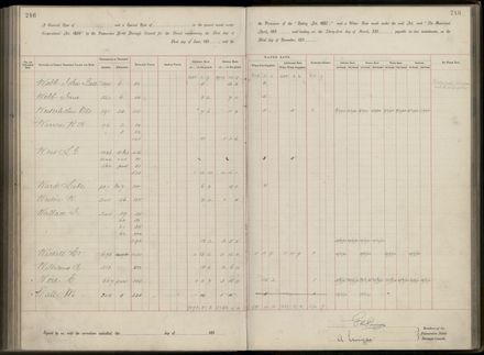 Palmerston North Rate Book, 1893 - 1896, 251