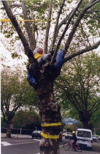 Avenue Action protestor in tree