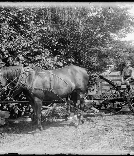 Horse and Plough, Tokomaru