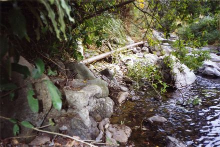 Kahuterawa Stream