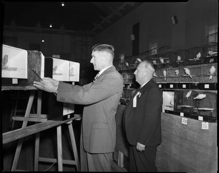 "Judging at National Cage Bird Show" - Resource cover image