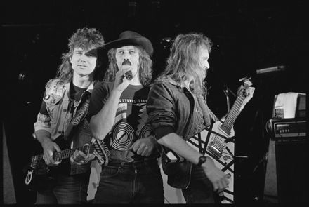 "Nightshade at the Awapuni" - Resource cover image