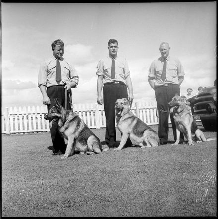 "Police Dogs Prove Entertaining" - Resource cover image
