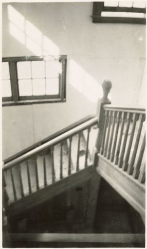 Staircase in 182 Fitzherbert Avenue