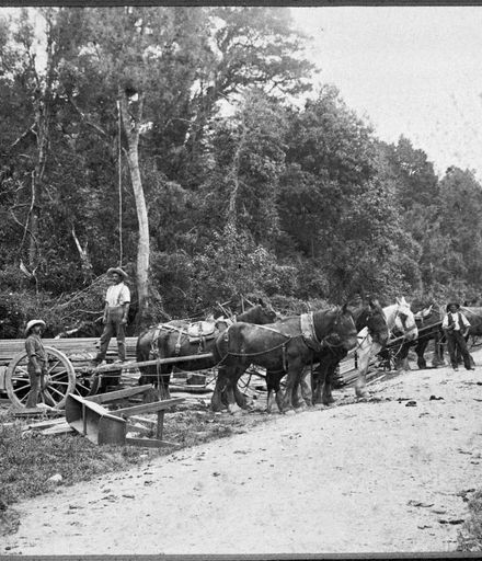 Carting Sawn Timber from Wilson Brothers' Sawmill, Pohangina Valley